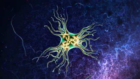 nerve cell (neuron) illustration