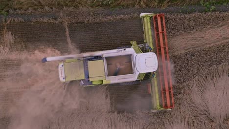 combine harvester in action