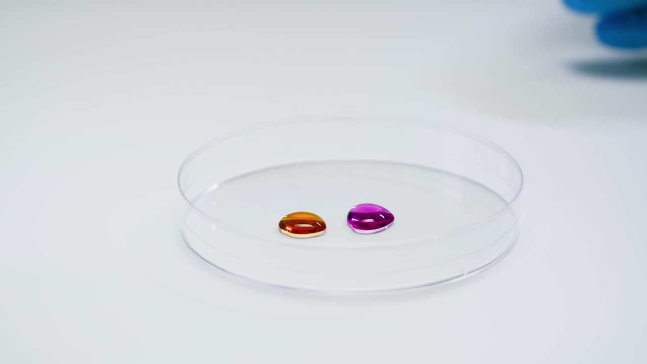 Orange and Purple Liquid Drops in a Laboratory Petri Dish
