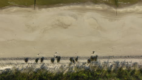 Aerial-view-of-a-pristine-beach-captured-from-above,-showing-a-broad-sandy-expanse-with-a-line-of-shrubbery-and-a-distinct-trail-marking-the-border-between-the-beach-and-vegetation