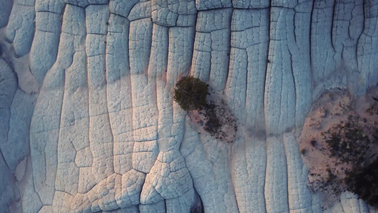 미국 의  ⁇  모래석 지형 에서 자라는 나무 의 경치 좋은 풍경