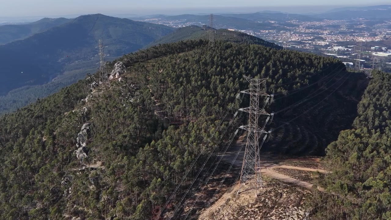 Elektrické vedení a stožáry vysokého napětí napříč eukalyptovými monokulturami v Portugalsku.