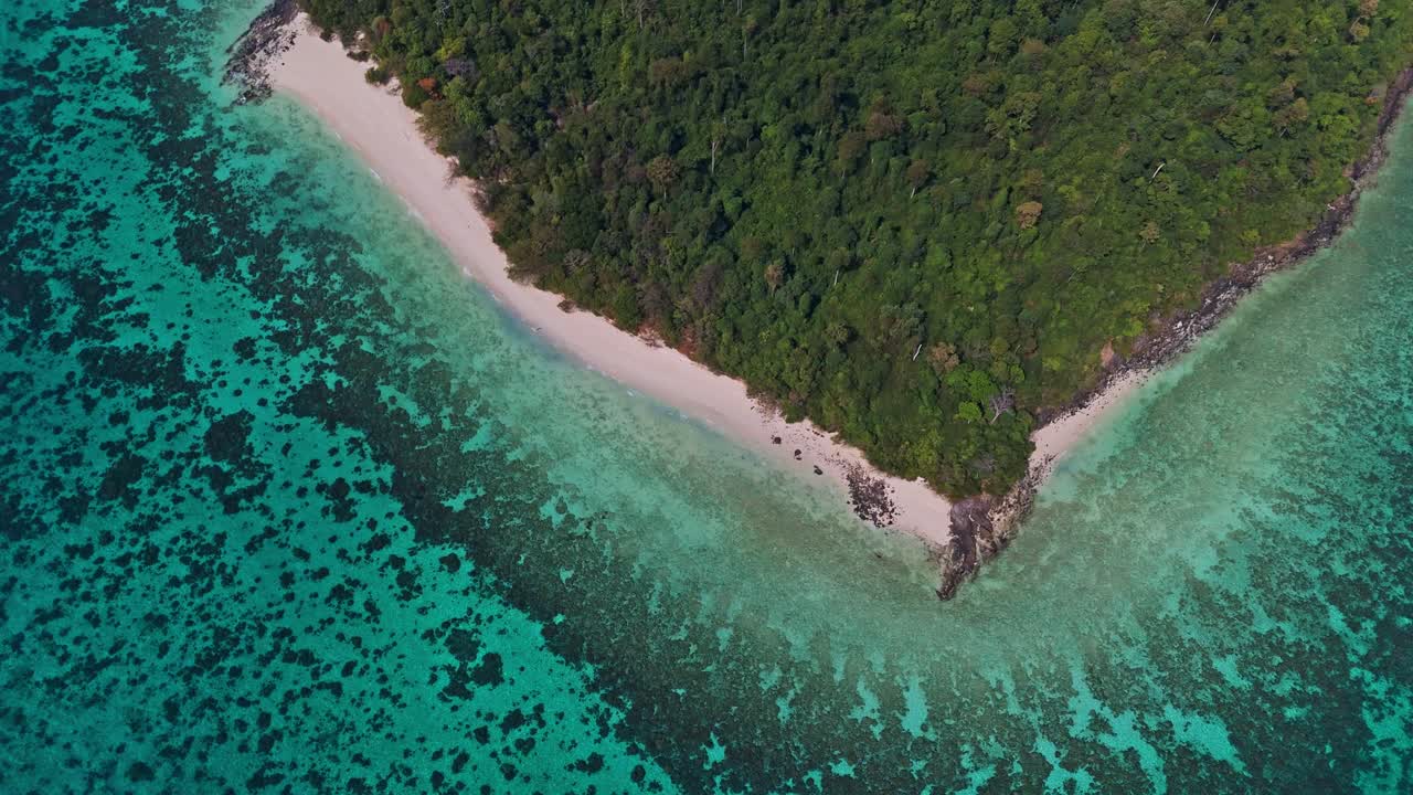 Aerial top-down view of Koh Rok, Trang, Thailand, showcasing lush green forest, white sandy beach, and vibrant coral reefs in crystal-clear turquoise waters. Stunning tropical scenery in 4K.
