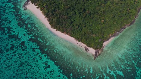 aerial top-down view of koh rok, trang, thailand, showcasing lush green forest, white sandy beach, and vibrant coral reefs in crystal-clear turquoise waters. stunning tropical scenery in 4k.