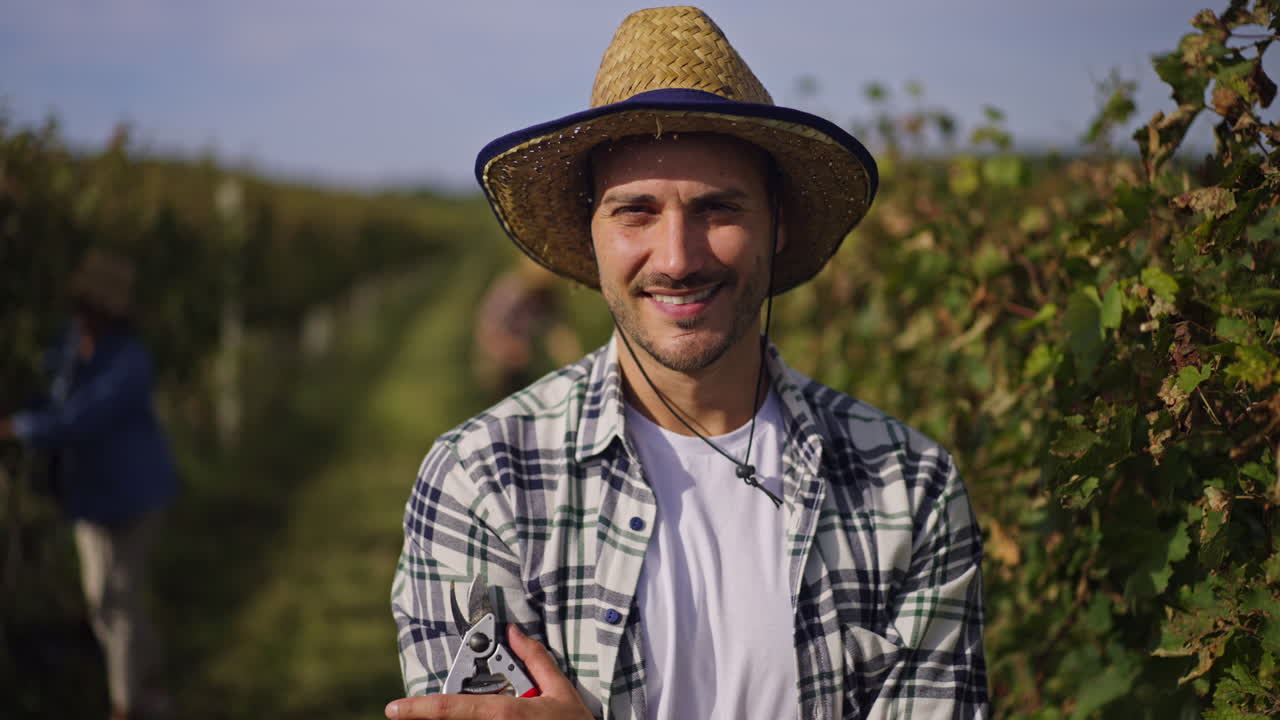 Winemaker in the vineyard during the grape harvest