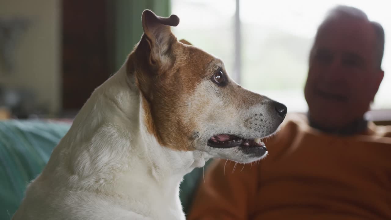 Senior man and his dog on sofa at home
