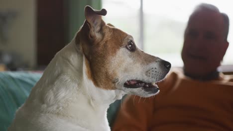 Älterer-Mann-Und-Sein-Hund-Auf-Dem-Sofa-Zu-Hause