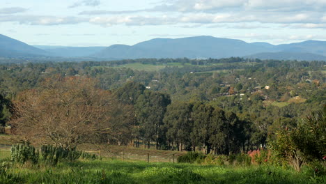 cordilleras dandenong, australia desde lejos en un día despejado