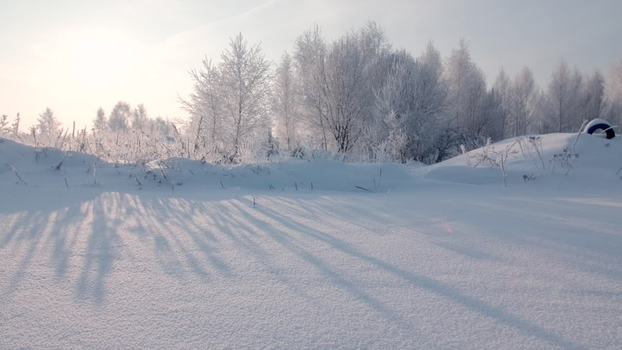 얼음 인 나무 들 이 있는 눈 인 겨울 풍경
