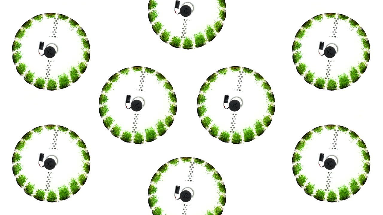 patrón circular con plantas verdes