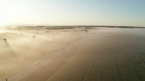 Coches-En-Una-Carretera-Rural-Cubierta-De-Niebla-Matutina-Ligera