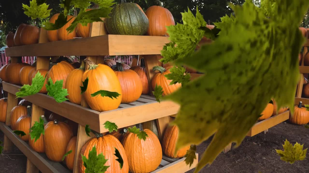 animación de hojas de otoño que caen calabazas en los estantes