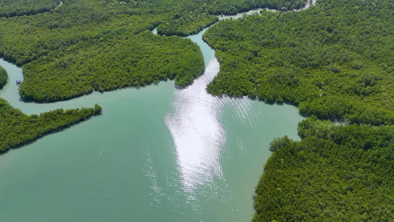 드론 영상은 태국 나가의 울창한 맹그로브 숲과 휘어지는 강을 밝은 빛 아래서 포착합니다.