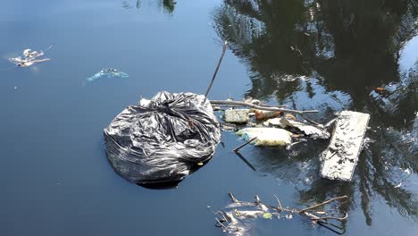 basura de plástico negro en agua oscura.