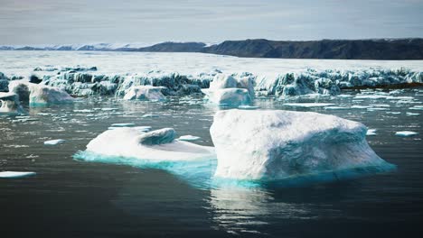 Antarktische-Eisberge-In-Der-Nähe-Eines-Felsigen-Strandes