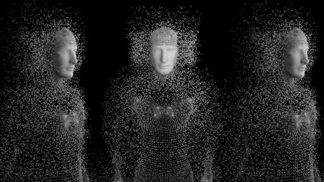 cuerpo humano sobre fondo negro