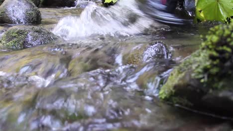 low view of careful footfalls in a shallow river