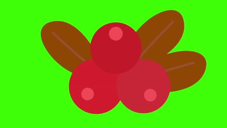 green screen , party icon , berries