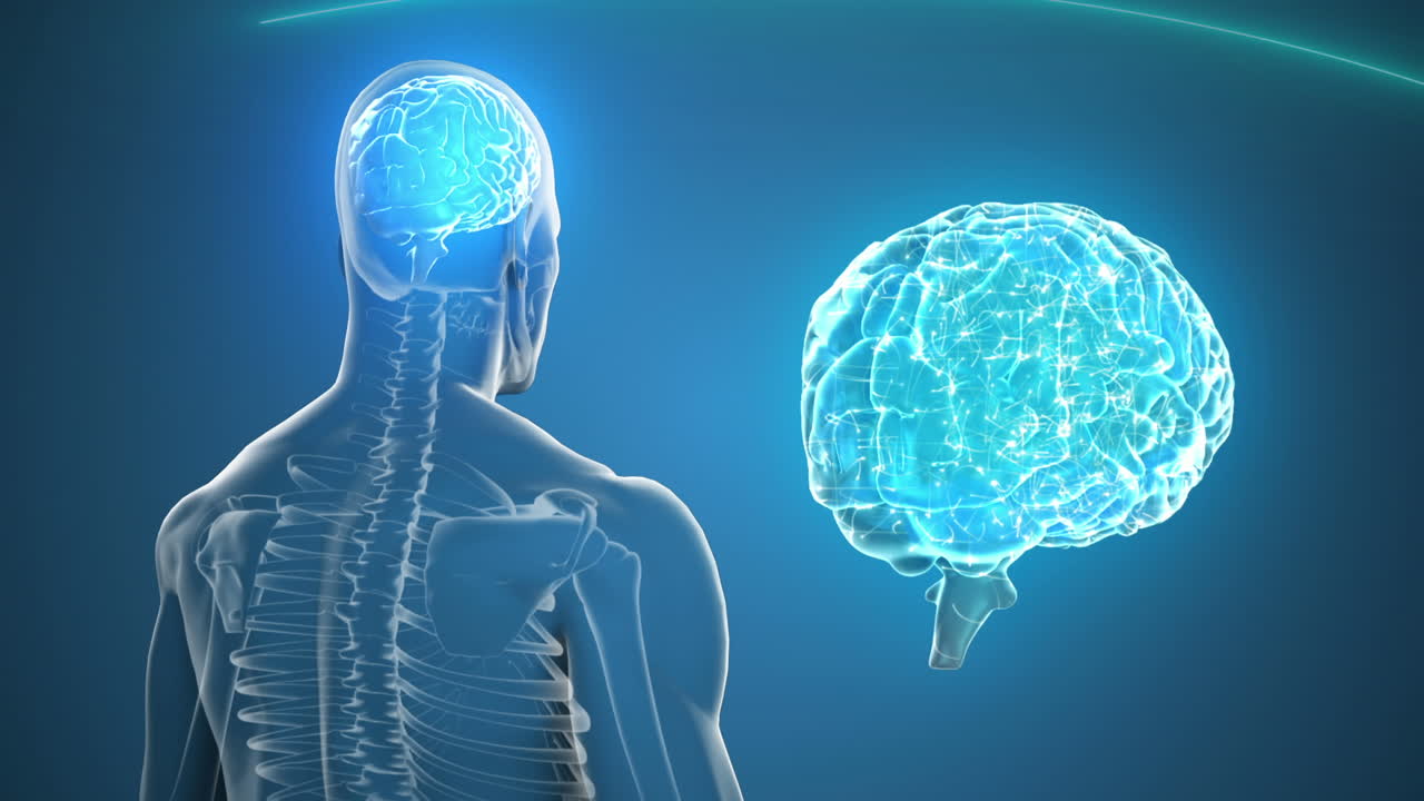 Animation of human body and human brain spinning on blue background
