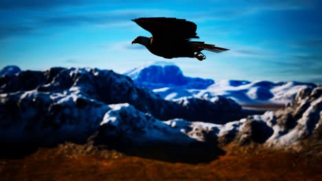 movimiento lento águila calva estadounidense en vuelo sobre las montañas de alaska