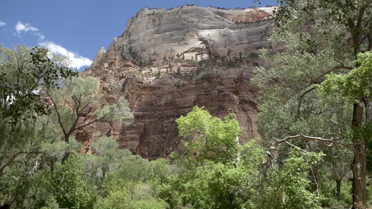 Steep canyon walls tower above a heavily forested valley, Zion National Park, slow tilt up