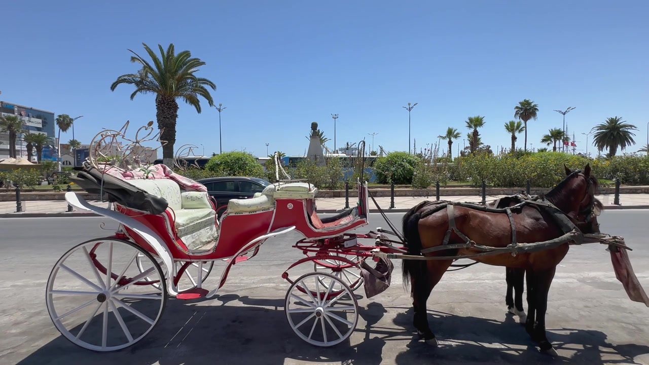 Un brillante carruaje rojo tirado por caballos está estacionado a un lado de la carretera con palmeras bordeando el fondo en un día claro y soleado. Susa, Túnez.