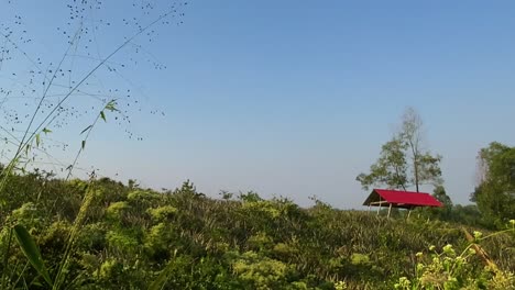 tranquilo y relajante paisaje de campo de verano con cabaña roja en el fondo, sylhet
