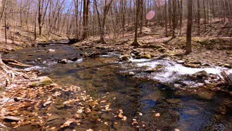 a beautiful, gentle mountain stream during early spring, after snow melt, in the appalachian mountains