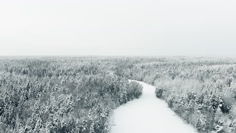 Aerial,-tilt-down,-drone-shot,-above-Haukkalampi-pond,-surrounded-by-snow,-covered-trees-and-endless,-winter-forest,-on-a-overcast-day,-in-Nuuksio-national-park,-in-Finland