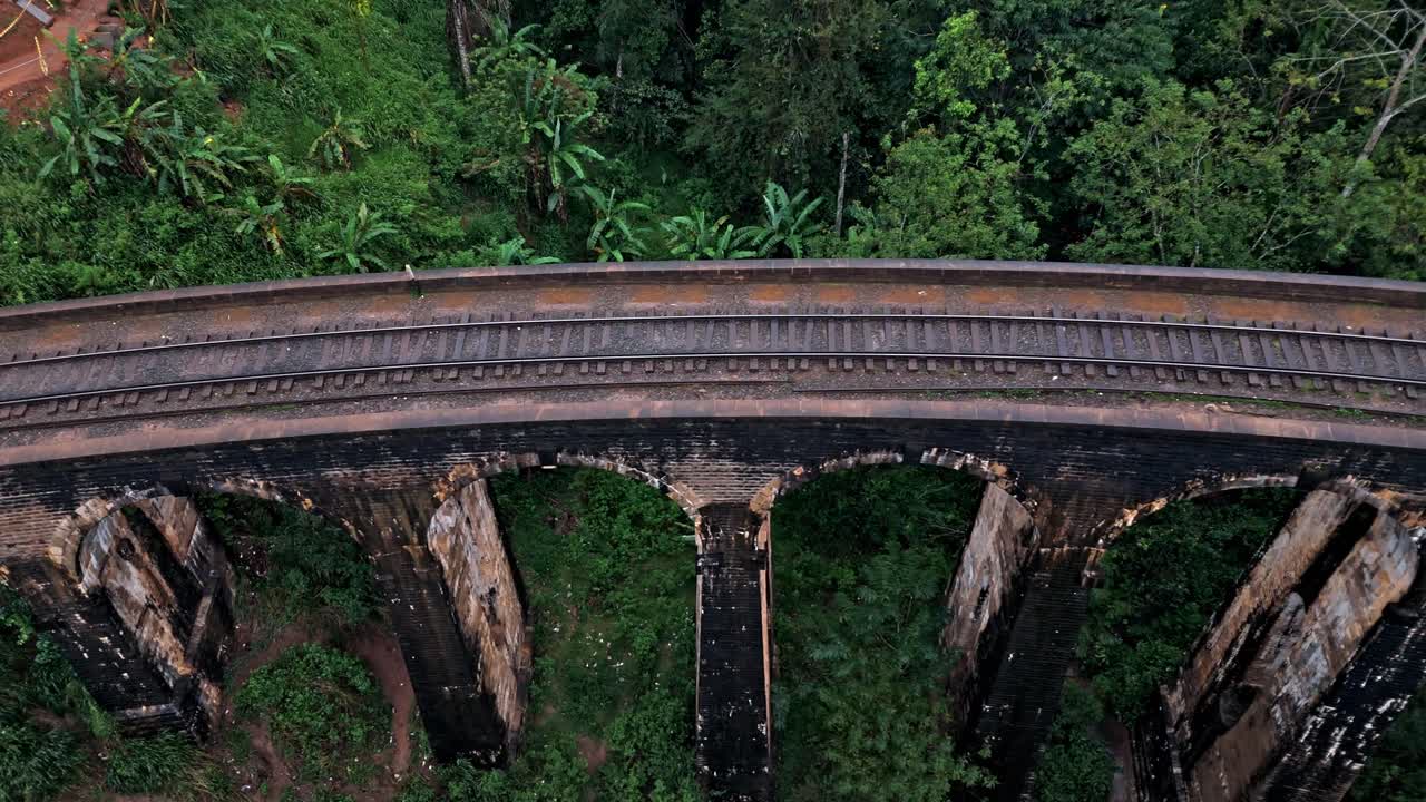 In the heart of Nagano, Japan, the famous Jigokudani Snow Monkeys enjoy the warmth of natural hot springs while engaging in social grooming.
