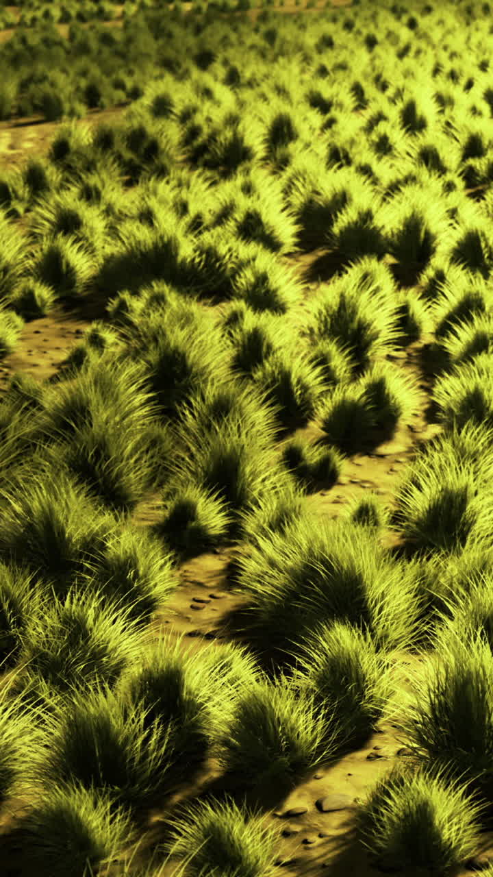 Lush green grass covers the ground in a sunlit field during the day