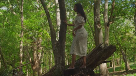 in a lovely dress, a young latina girl delights in the sights of a caribbean park on trinidad island