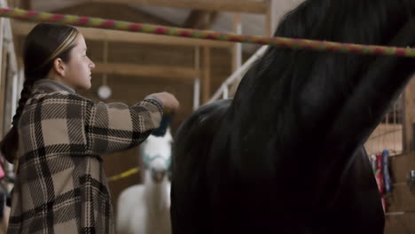 young girl brushing her horse in the stable