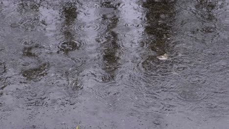 Regen-Fällt-Auf-Den-Zementbürgersteig