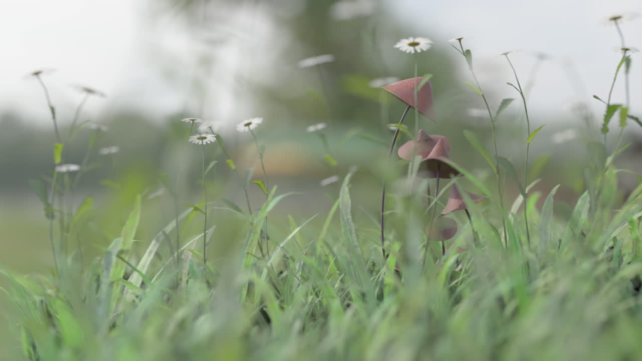 마법의 버섯이 바닥에서 춤을 추며 일어납니다.
