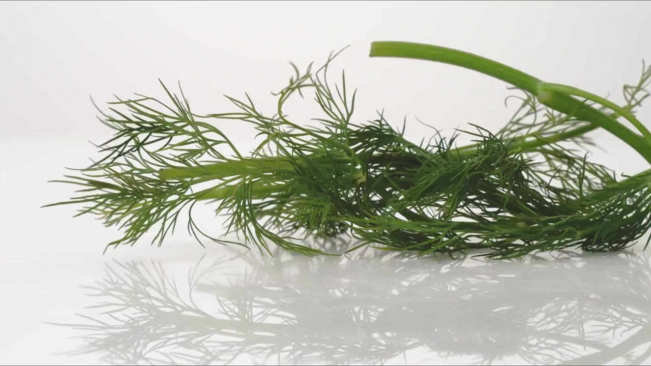 Tuore aromaattinen tilli pomppii valkoisella pöytälevyllä hidastettuna lähikuvana makro-otoksena ennen asettumistaan.