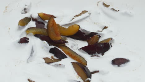 Closeup-plum-dairy-dessert-background.-Preparing-natural-milky-fruit-cocktail.