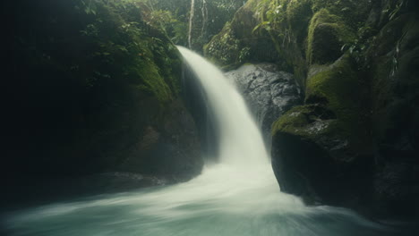 a tranquil waterfall flowing through a lush green forest