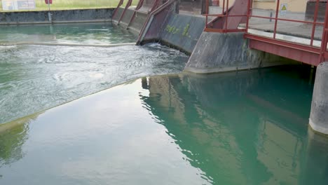 river water stream flowing in and out of a water-treatment plant dam, or a hydroelectric power plant in switzerland, europe. real time, no people