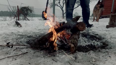 bonfire in winter near the house, man with a dog