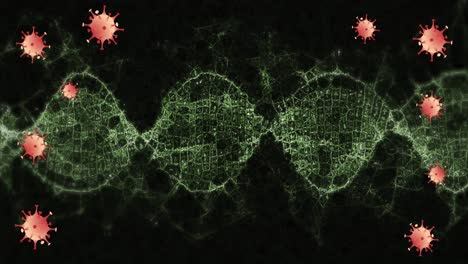 animation of covid 19 cells moving over dna strand spinning