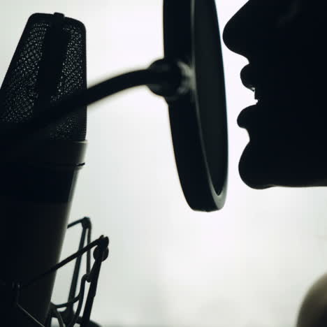 lovely woman singing into the microphone in the recording studio. profile of a singer with a beautiful face and lips. black and white.close up