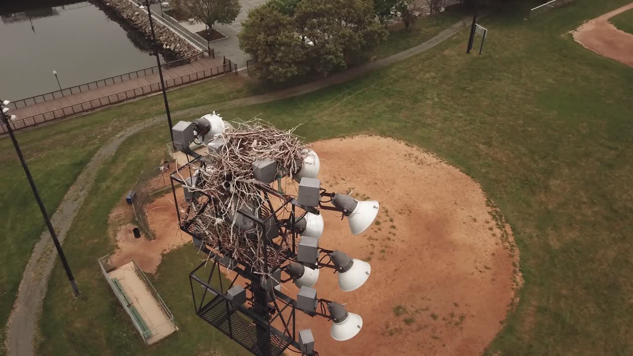 un nido de pájaro vacío en la parte superior de la torre de luz, con vistas a un campo de béisbol en boston, massachusetts - antena