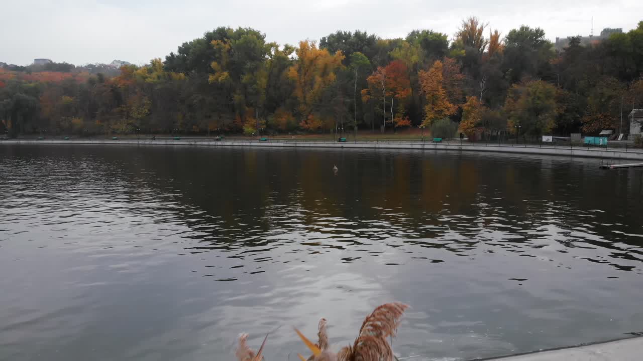 Autumn landscape with lake and reeds