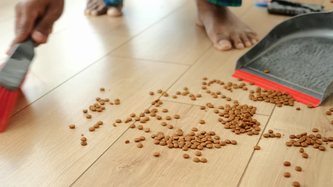 Cleaning up spilled pet food