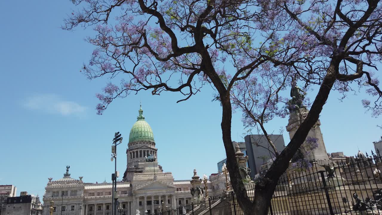 Palacio del Congreso in Buenos Aires with Jacaranda Trees