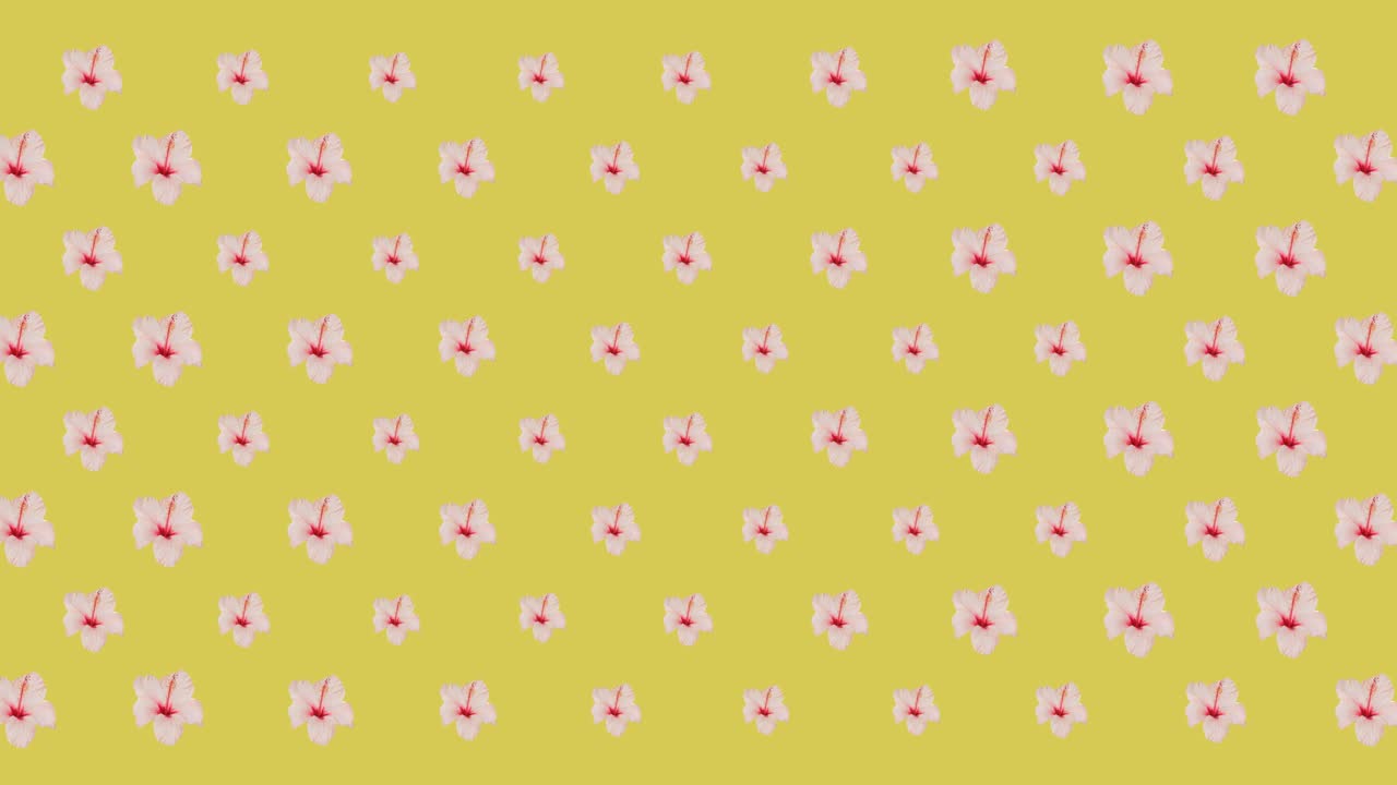 Animation af lyserøde blomster på gul baggrund