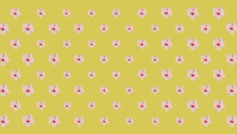 animación de flores rosadas sobre un fondo amarillo