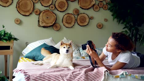 proud dog owner is taking pictures of her pedigree dog using professional camera lying on bed at home. beautiful furniture, cute animal and green plants are visible.