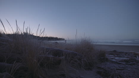 Frozen-grass-and-sand-at-a-wild-beach-on-a-winter-cold-morning-in-Tofino,-Canada